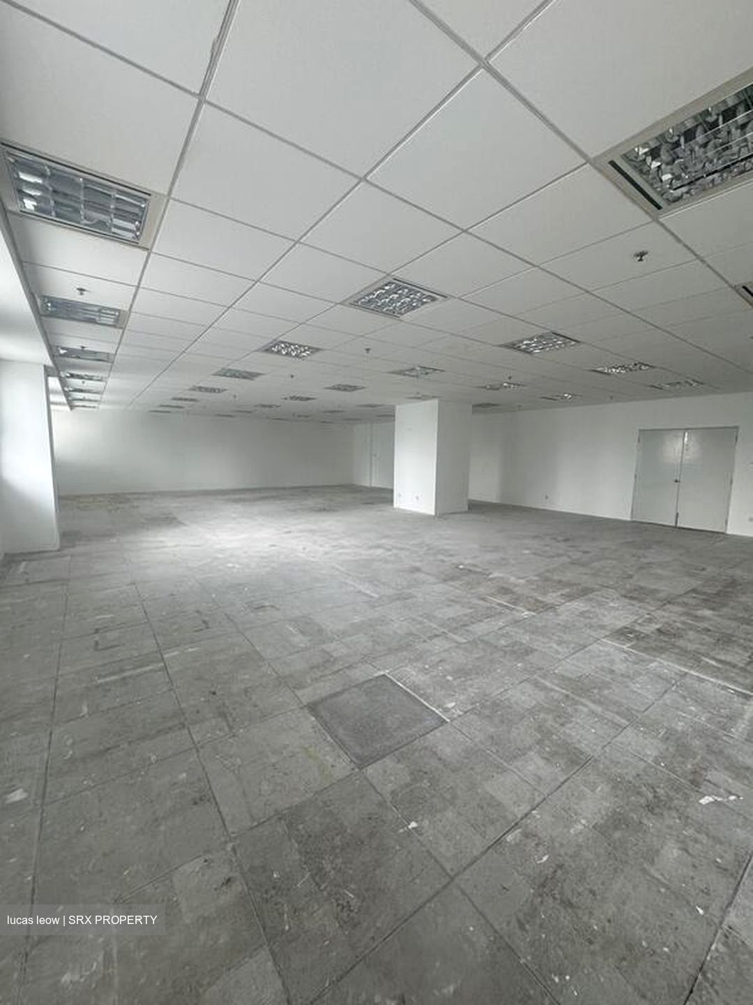 Ngee Ann City (D9), Shop House #498685831